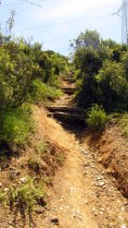 Vigia Trail (136)