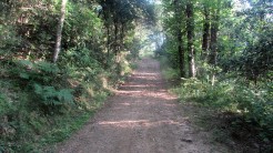 Trail Fonts del Montseny (23)