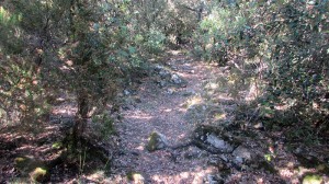 Trail Fonts del Montseny (33)