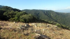 Trail Fonts del Montseny (43)