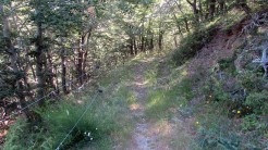 Trail Fonts del Montseny (78)