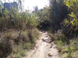 Bada Trail (77)