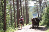 Trail Moixeró 39k Últims metres (271)