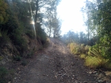 Trail Sant Climent Revisio (111)
