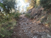 Trail Sant Climent Revisio (56)