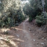 Fotos Revision Equinox Trail (44)