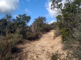 Lloret Trail Bucle (23)